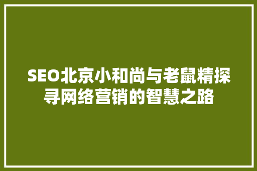 SEO北京小和尚与老鼠精探寻网络营销的智慧之路