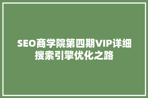 SEO商学院第四期VIP详细搜索引擎优化之路