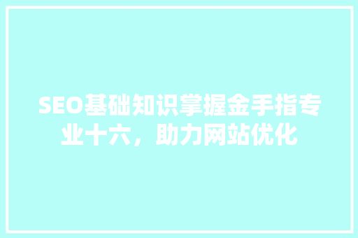 SEO基础知识掌握金手指专业十六，助力网站优化