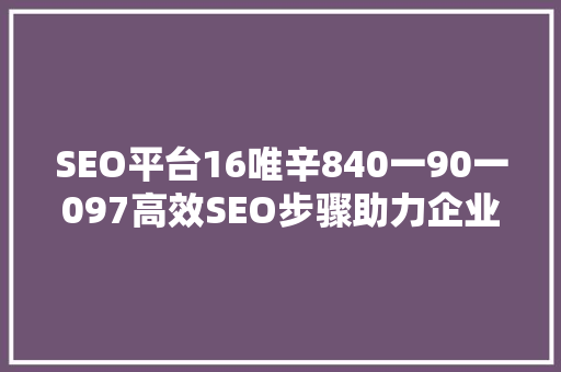 SEO平台16唯辛840一90一097高效SEO步骤助力企业腾飞  第1张