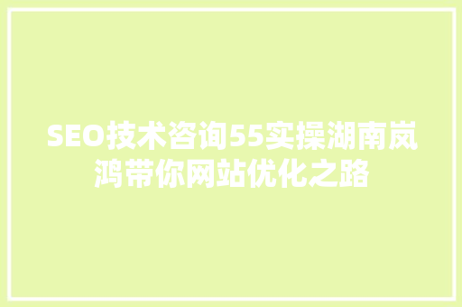 SEO技术咨询55实操湖南岚鸿带你网站优化之路