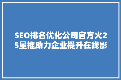 SEO排名优化公司官方火25星推助力企业提升在线影响力