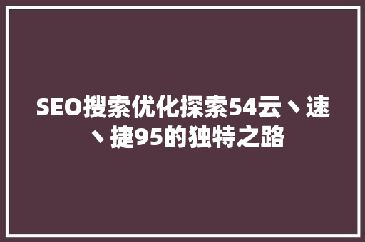 SEO搜索优化探索54云丶速丶捷95的独特之路