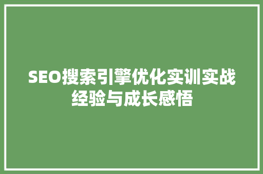 SEO搜索引擎优化实训实战经验与成长感悟