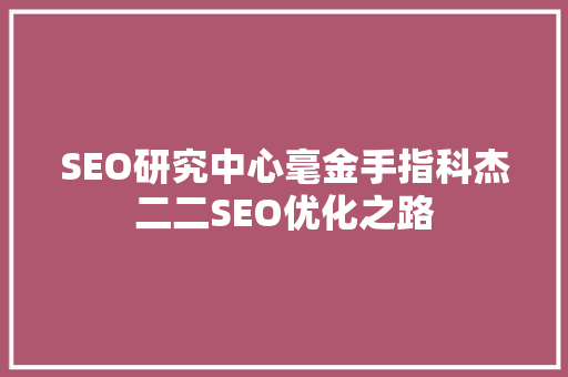 SEO研究中心毫金手指科杰二二SEO优化之路