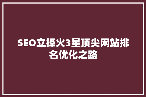SEO立择火3星顶尖网站排名优化之路