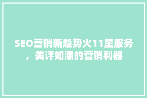 SEO营销新趋势火11星服务，美评如潮的营销利器