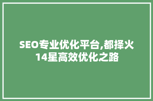 SEO专业优化平台,都择火14星高效优化之路
