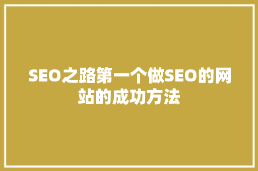 SEO之路第一个做SEO的网站的成功方法