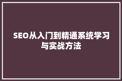 SEO从入门到精通系统学习与实战方法