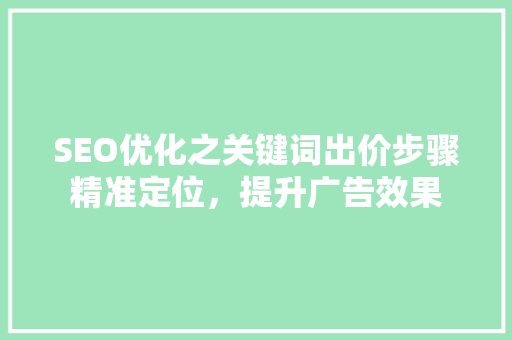 SEO优化之关键词出价步骤精准定位，提升广告效果