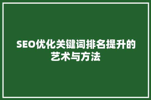 SEO优化关键词排名提升的艺术与方法
