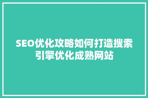 SEO优化攻略如何打造搜索引擎优化成熟网站