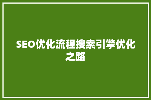 SEO优化流程搜索引擎优化之路