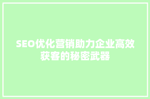 SEO优化营销助力企业高效获客的秘密武器