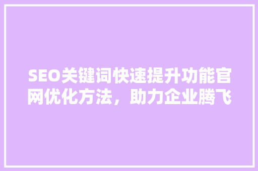 SEO关键词快速提升功能官网优化方法，助力企业腾飞