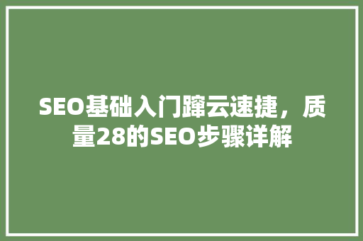 SEO基础入门蹿云速捷，质量28的SEO步骤详解