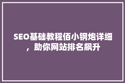 SEO基础教程佰小钢炮详细，助你网站排名飙升