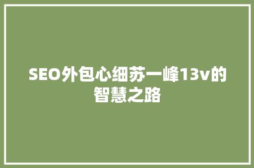 SEO外包心细苏一峰13v的智慧之路