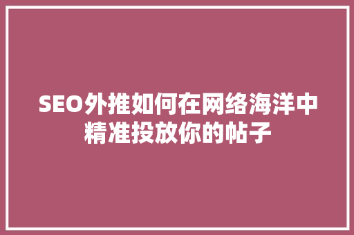 SEO外推如何在网络海洋中精准投放你的帖子