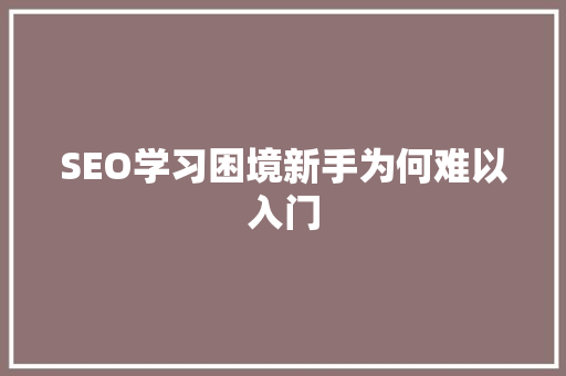 SEO学习困境新手为何难以入门