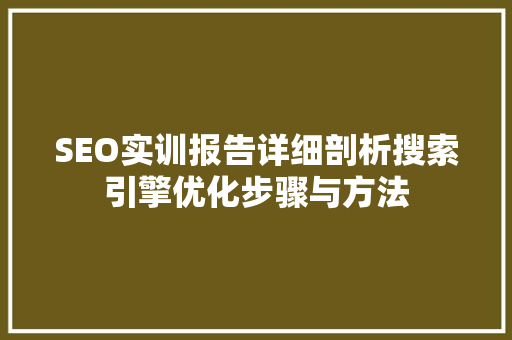 SEO实训报告详细剖析搜索引擎优化步骤与方法