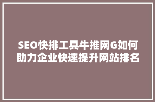 SEO快排工具牛推网G如何助力企业快速提升网站排名