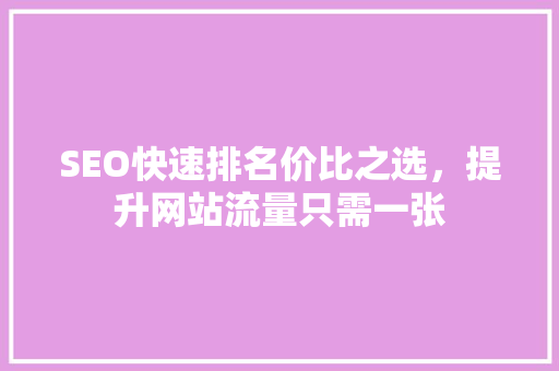 SEO快速排名价比之选，提升网站流量只需一张