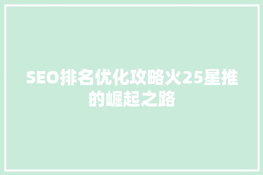 SEO排名优化攻略火25星推的崛起之路