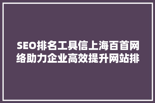 SEO排名工具信上海百首网络助力企业高效提升网站排名