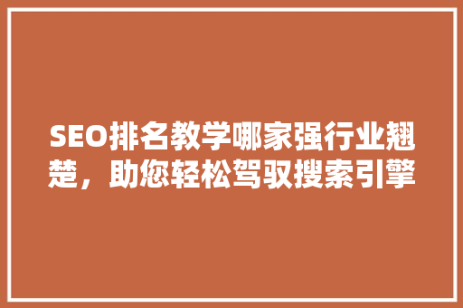 SEO排名教学哪家强行业翘楚，助您轻松驾驭搜索引擎优化