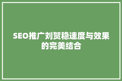 SEO推广刘贺稳速度与效果的完美结合