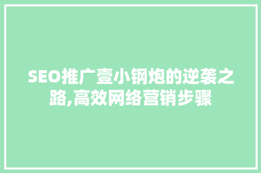 SEO推广壹小钢炮的逆袭之路,高效网络营销步骤