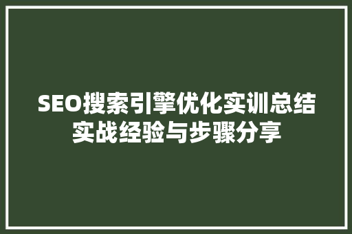 SEO搜索引擎优化实训总结实战经验与步骤分享