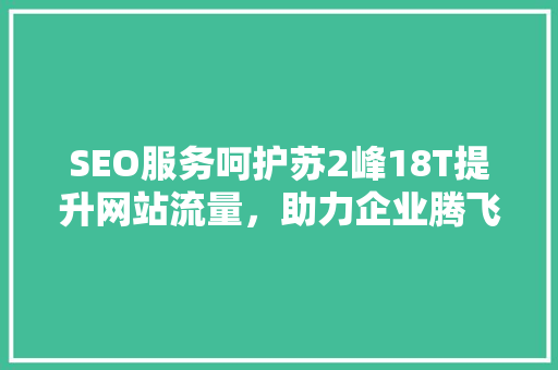 SEO服务呵护苏2峰18T提升网站流量，助力企业腾飞