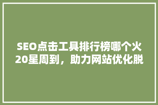 SEO点击工具排行榜哪个火20星周到，助力网站优化脱颖而出