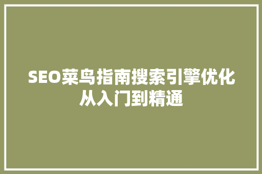 SEO菜鸟指南搜索引擎优化从入门到精通