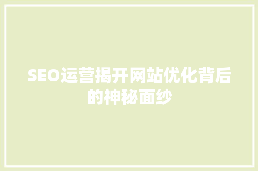 SEO运营揭开网站优化背后的神秘面纱