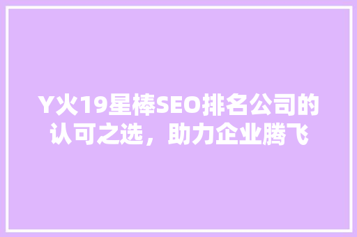 Y火19星棒SEO排名公司的认可之选，助力企业腾飞