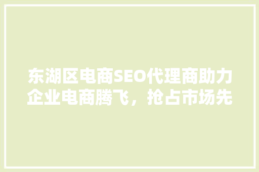东湖区电商SEO代理商助力企业电商腾飞，抢占市场先机