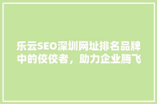 乐云SEO深圳网址排名品牌中的佼佼者，助力企业腾飞