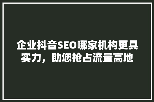 企业抖音SEO哪家机构更具实力，助您抢占流量高地