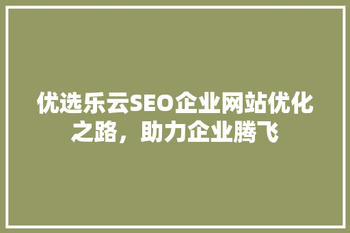 优选乐云SEO企业网站优化之路，助力企业腾飞
