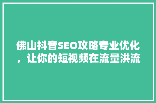 佛山抖音SEO攻略专业优化，让你的短视频在流量洪流中脱颖而出