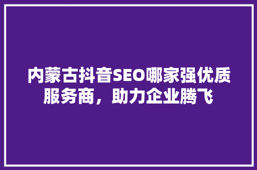 内蒙古抖音SEO哪家强优质服务商，助力企业腾飞