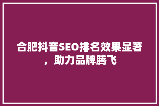 合肥抖音SEO排名效果显著，助力品牌腾飞