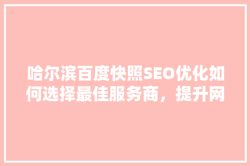 哈尔滨百度快照SEO优化如何选择最佳服务商，提升网站排名与流量