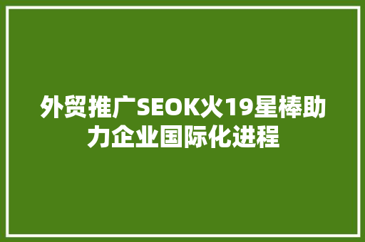 外贸推广SEOK火19星棒助力企业国际化进程