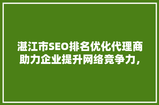 湛江市SEO排名优化代理商助力企业提升网络竞争力，抢占市场先机