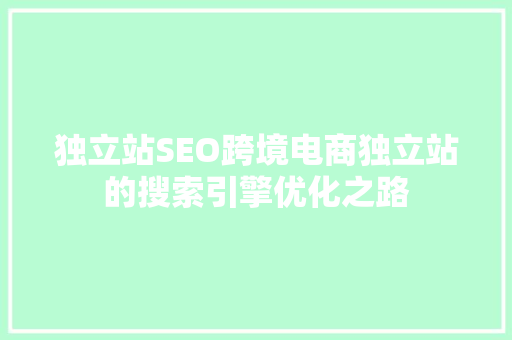 独立站SEO跨境电商独立站的搜索引擎优化之路